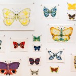 About Face: 62 Butterfly Paintings (detail)