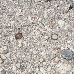 Binary Bottle Caps (up and down)
