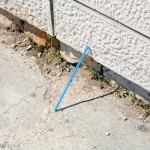 Blue Straw (with lean)