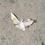 Little Paper Bird