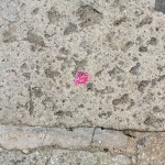 Small Pink String Wad