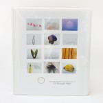 12 thought Maps